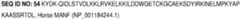 Figure imgb0019