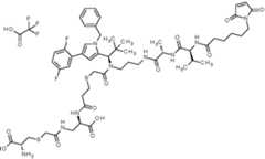 Figure imgf000700_0001