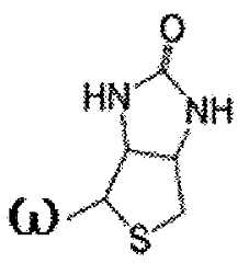 Figure imgf000349_0002