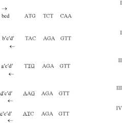 Figure US07544473-20090609-C00005