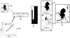 Figure P1020227000928