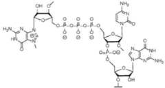 Figure imgf000172_0003