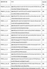 Figure BDA0000059233380000671