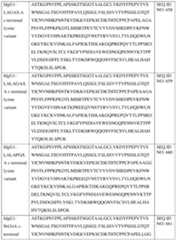 Figure imgf000260_0001