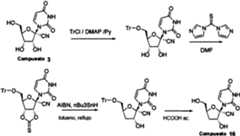 Figure imgf000081_0002