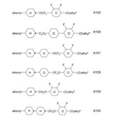 Figure 2024079817000031