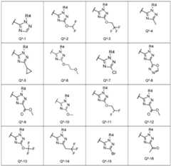 Figure imgf000015_0001