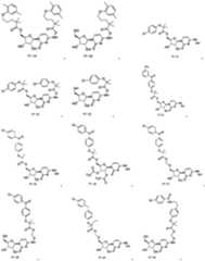 Figure PCTCN2022115474-appb-100012