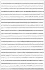 Figure 108128641-A0202-12-0258-914