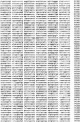 Figure IPA0000293710130000251