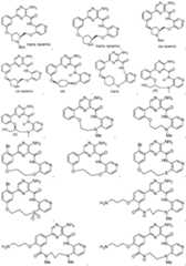 Figure imgf000495_0001