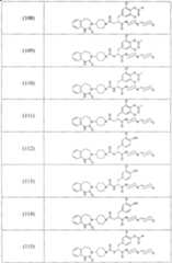 Figure A20068000958600701