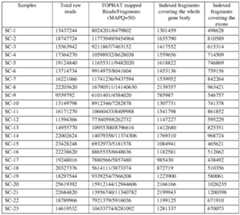 Figure imgf000033_0001