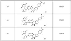 Figure PCTCN2021093930-appb-000080