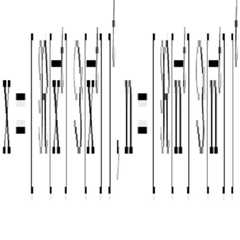 Figure 112006064440660-pat00028