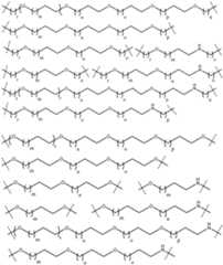 Figure imgf000204_0001