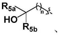 Figure BDA0002170659700000202