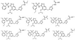 Figure imgf000079_0002