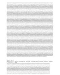 Figure imgf000379_0001