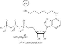 Figure US12000835-20240604-C00009