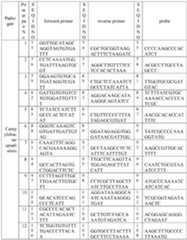 Figure imgf000013_0001