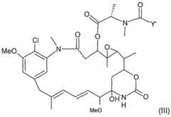 Figure imgf000022_0002