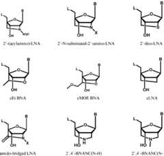Figure imgf000018_0001