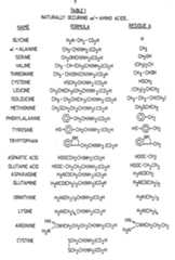 Figure imgf000011_0001