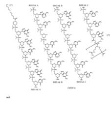 Figure imgf000115_0001