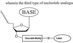 Figure imgf000365_0001