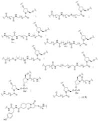 Figure BDA0003357312860002331