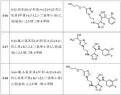 Figure BDA0002356256440000061