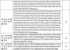 Figure BDA0003300526180000231