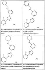 Figure imgf000008_0001