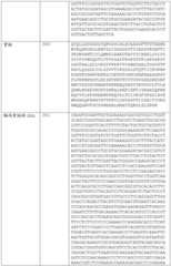 Figure BDA0002591526010000281