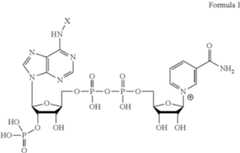 Figure US12234498-20250225-C00005