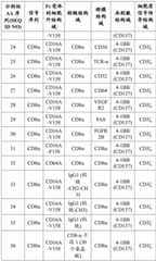 Figure BDA0002951888040000571