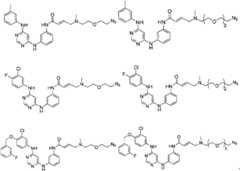 Figure BPA00001476434900961