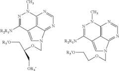 Figure US08691779-20140408-C00012