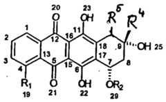 Figure imgf000014_0001