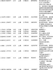 Figure BPA00001280678301871