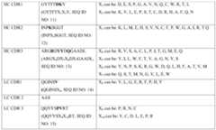 Figure PCTCN2019110570-appb-000015