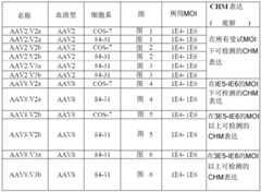 Figure BDA0001764338830000391