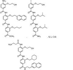 Figure 0007558167000034