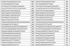 Figure imgf000050_0001