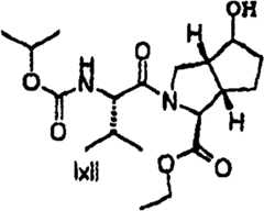 Figure BSA00000606821201941