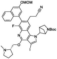 Figure BDA0003993773060002661