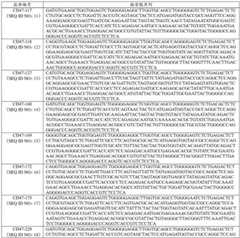 Figure GDA0002975862130000042