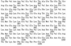 Figure 105132493-A0202-12-0101-167