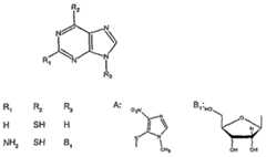 Figure imgf000105_0001